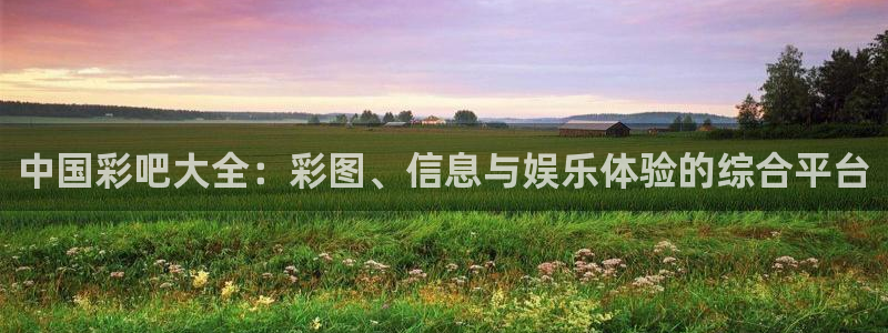 中国彩吧大全：彩图、信息与娱乐体验的综合平台
