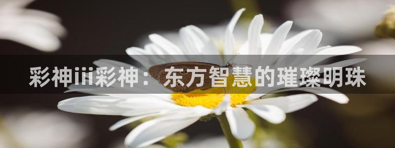 jdb电子体育凯捷平台主管：彩神iii彩神：东方智慧的璀璨明珠