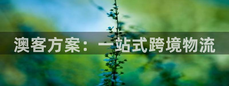 jdb电子平台招商：澳客方案：一站式跨境物流