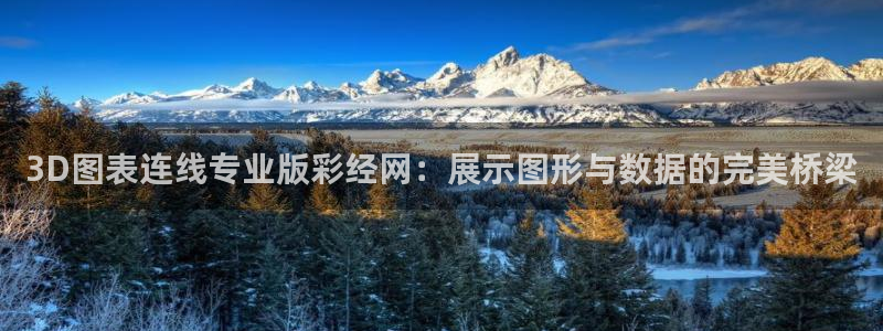jdb电子平台在线开户：3D图表连线专业版彩经网：展示图形与数据的完美桥梁